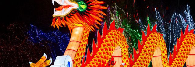 Nouvel an chinois