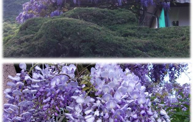 Méli Mélo d'Avril 2018