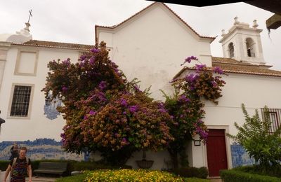 Lisbonne (13/32) : Miradouro de Santa Luzia