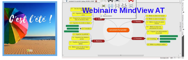 Webinaire de présentation du logiciel MindView AT (cartes mentales), vendredi 18 juillet 2025