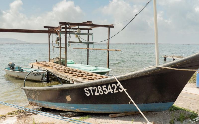 OC 2021 : Bateaux à Thau et Bouzigues.
