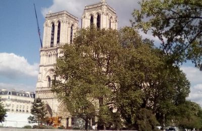 Notre-Dame de Paris : Quelques clichés ... 