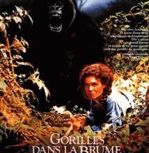BOX OFFICE DU 25/1/1989 AU 31/1/1989