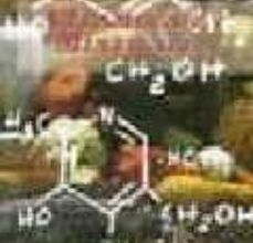 Descargar [PDF] {EPUB} VITAMINAS Y MINERALES