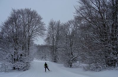 Le 17 décembre 2017: sortie à skis