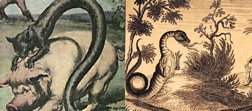 TATZELWURM, LE VER DES MONTAGNES