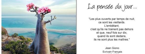 La pensée du jour (121)