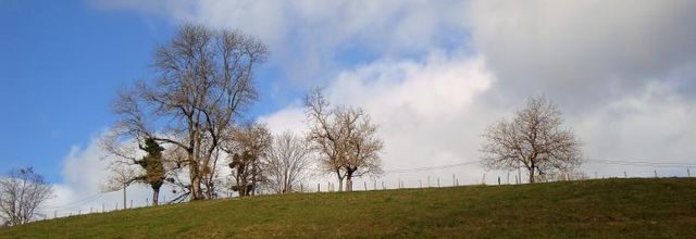 Pramenoux...