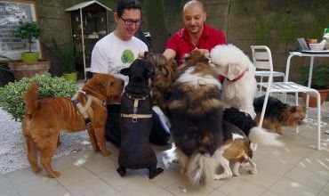 Cri d'alarme pour les animaux