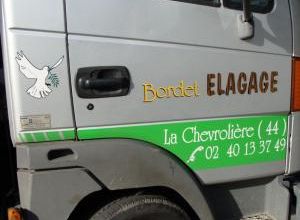 Elagage des platanes à Pornic 2010