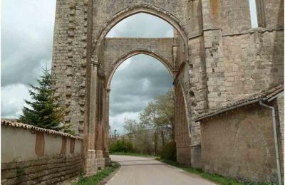 (J34) Boadilla del Camino / San Anton 8 mai 2012 (3)