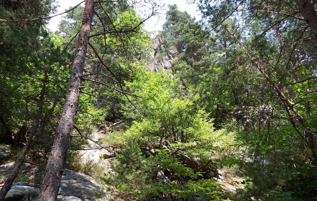 une balade-randonnée à Annot dept 04 (5)