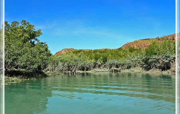 20/09/2022 : exploration de la mangrove de la Rivière Hunter - Porosus Creek - Prince Frederick Harbour - Kimberley - Australie