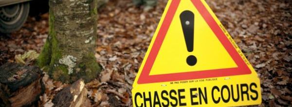 Balader son chien en la période de chasse 