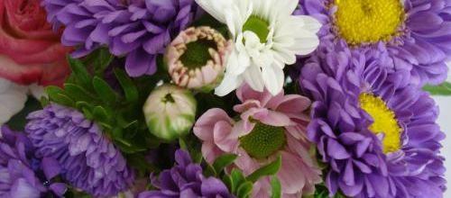 rose, blanc, mauve
