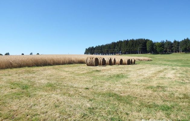 Naussac le lac dept 48 (2)