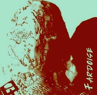 Fardoise