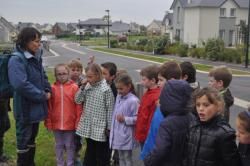 Les petites bêtes dans mon jardin