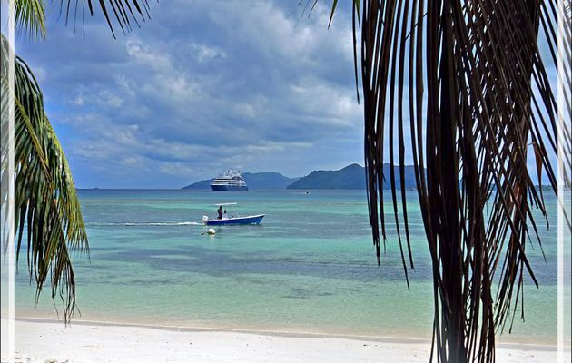 Lors de la balade dans la mangrove, nous suivons la côte et parfois nous apercevons le Bellot à l'ancre - Curieuse - Seychelles