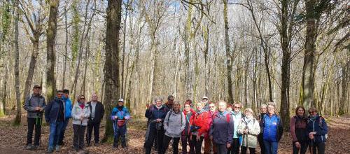 CR RANDO DES NIVEOLES MOUTROT DU 11/03/2024