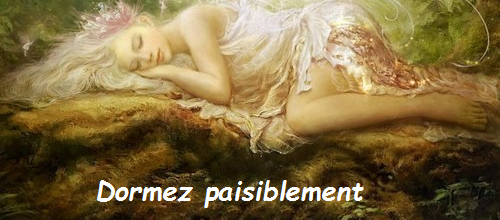 Bonne nuit 