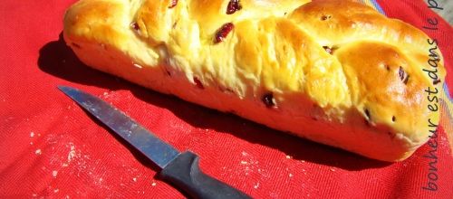 Brioche tressée aux cranberries