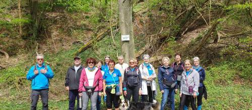 CR RANDO CIRCUIT DES ROCHES CHAVIGNY LE 15/04/2024