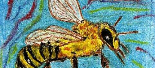 POLLEN-PLANCTON