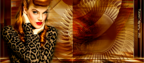ZsaZsa