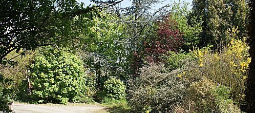 mon jardin
