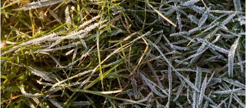 Givre, glace et bulles!