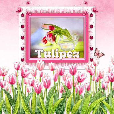 Fond écran Tulipes