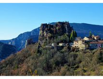 Rougon et ses vautours fauves.