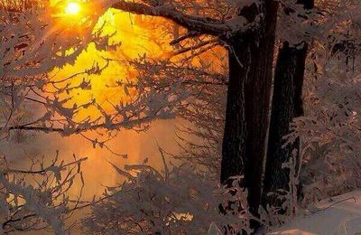 Neige et soleil
