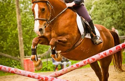 Photos de Ludo Inphoto - concours du 20/05/2012