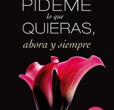 PIDEME LO QUE QUIERAS AHORA Y SIEMPRE leer epub MEGAN MAXWELL
