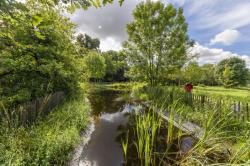 RANDO 12 / Le 15 mai - ST MEDARD en JALLES