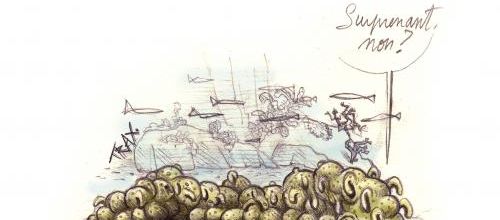 Menace sur le concombre de mer