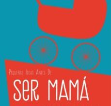 Descargar PDF PEQUEÑAS IDEAS ANTES DE SER MAMÁ