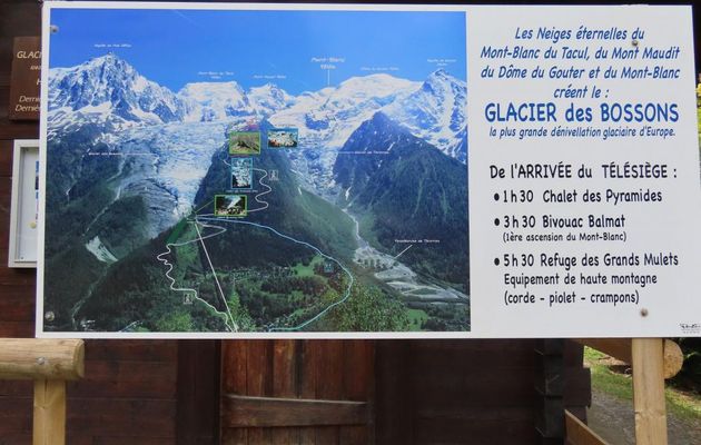 Argentière et le glacier des Bossons -2