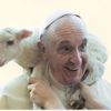 Le Pape François et la Paix