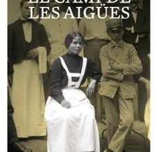 EL CAMÍ DE LES AIGÜES leer el libro pdf