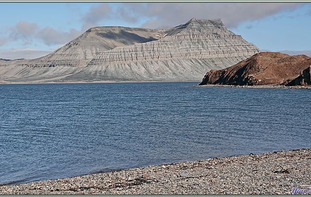 16/07/2024 matin : débarquement à l'île Coraholmen - Fjord Ekmanfjorden - Svalbard - Norvège
