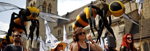 L'activisme des jeunes est un signe d'espoir pour la Terre, déclare le cardinal Turkson 