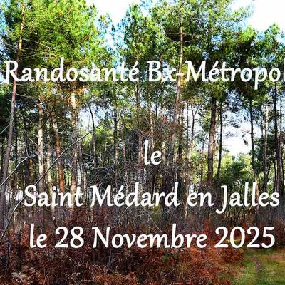 Dernière randonnée à Saint Médard en Jalles, le 28 novembre 2025