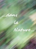 Autour des étangs