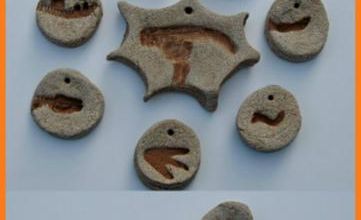 fossiles dinosaures