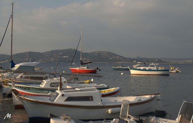 09/10 Port de la Madrague à Giens