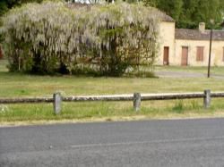 R 15 /  CR- CAYAC  LAC VERT