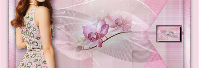 K@D's Psp Design ~ Phalae